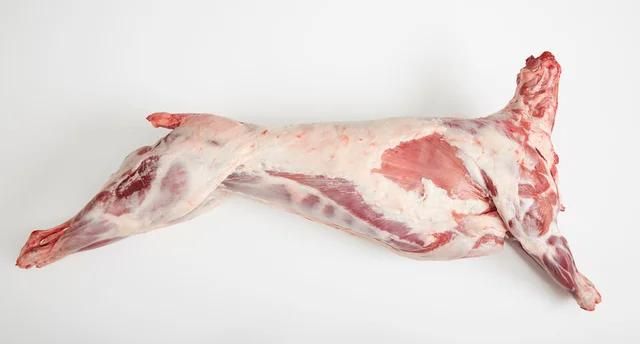 Fresh Meat - Image 2
