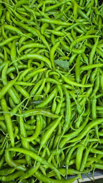 Vegetables – product photo 16, product detail gallery