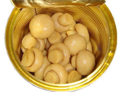 Canned Whole Button Mushroom Water Preserved 425G - Image 4