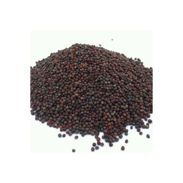 High quality canola seeds offered at wholesale price for edible oil producers - Image 3