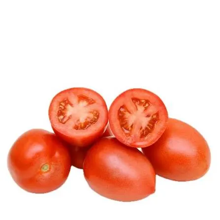 Premium Fresh Tomatoes Ripe Red Tomatoes Wholesale Fresh Produce Bulk Supplier - Image 1