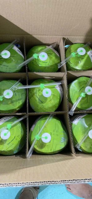 Vietnam Diamond Coconut – product photo 5, product detail gallery