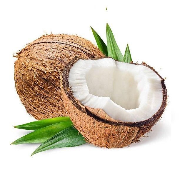Fresh Premium Coconuts in Cheapest Rate Fresh Mature Coconut Crop Sweet Water Semi Husked Coconut From Bangladesh - Image 4
