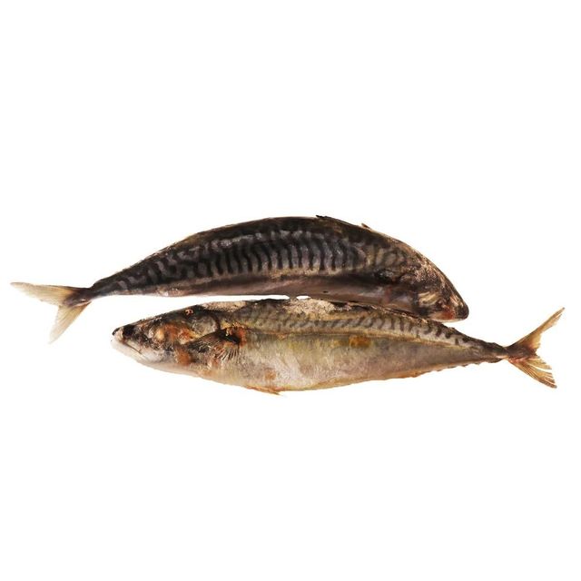 Frozen Sardine Fish Nutritious Seafood Choice With Strong Texture And Natural Taste For Bulk Purchase - Image 3