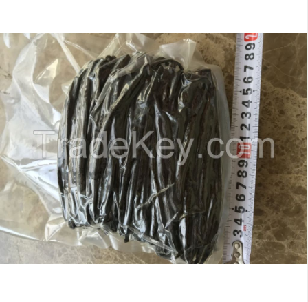 Best Price Vanilla Beans for Wholesale Buyers - Image 1