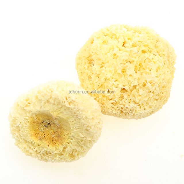 High Quality Chinese Edible jelly Tremella Price Fuciformis Dried Snow Fungus - Image 5