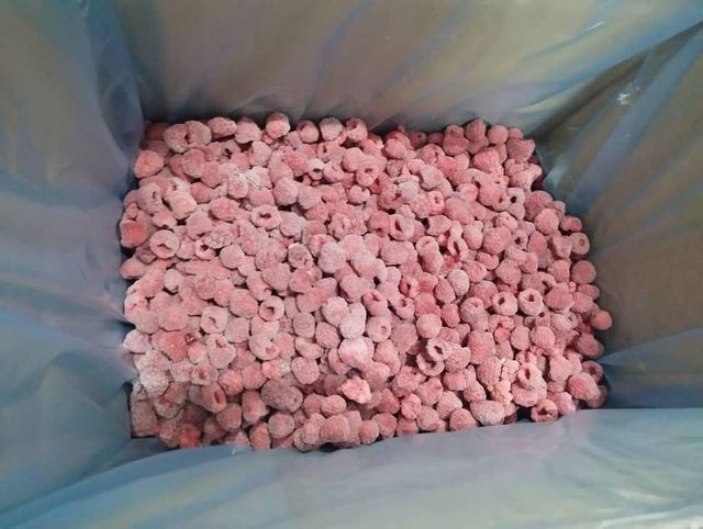 frozen raspberry Color Red Flavor Sour Packaging box Texture Frozen Type iqf frozen Manufacturer Uzbekistan Form Individual Quick Frozen - Image 2