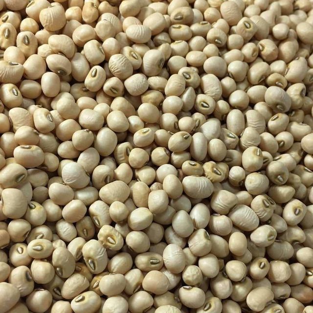 Premium Export Quality Black Eyed Peas Bulk Supply For Global Food Processing Buyers Seeking Clean Natural Black Eyed Peas - Image 1