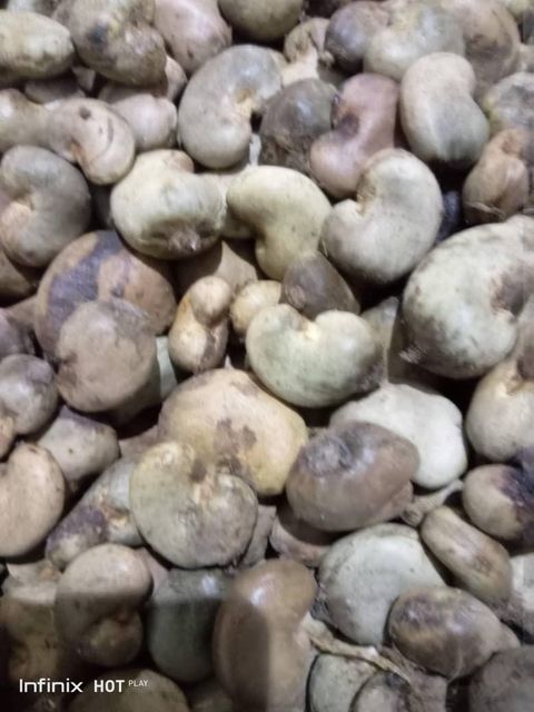 Cashew nuts - Image 1