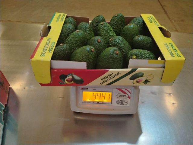 Avocados - Image 2
