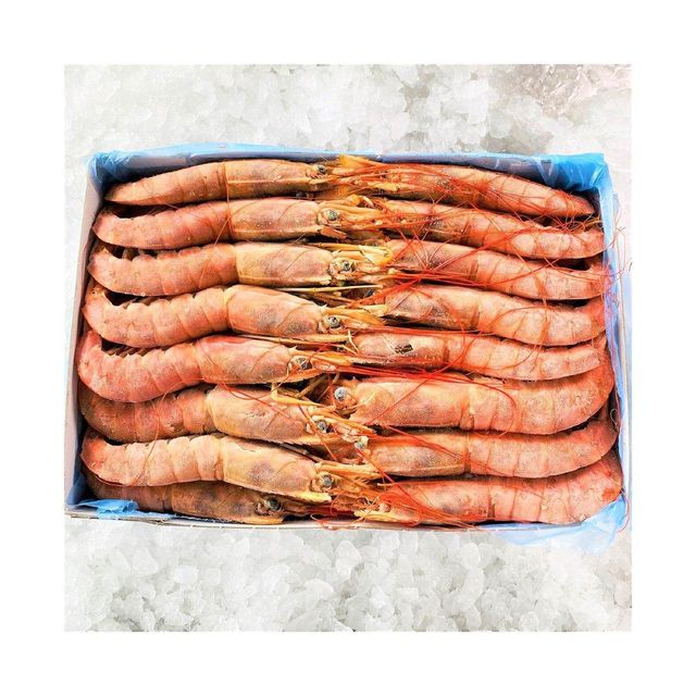 Frozen Red Shrimps available for sale at wholesale price for global buyers - Image 4