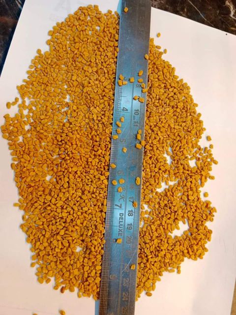 High Quality Fenugreek Seeds Wholesale Supply – Carefully Processed, Naturally Dried, and Rich in Flavor Spice Product Ideal for Cooking, Herbal Medicine, Food Manufacturing, and Nutritional Supplement Industries, Delivered in Bulk Quantities with Strict Quality Assurance, Reliable Packaging Solutions, and Stable International Export Standards for Consistent Business Supply ensuring freshness and traceability - Image 2