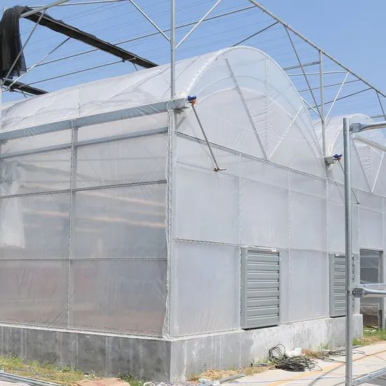 Commercial Plastic Film Greenhouse for Vegetable Span Multi Size Large Layer Single Trademark Sinok Thickness 0.15mm Location - Image 4