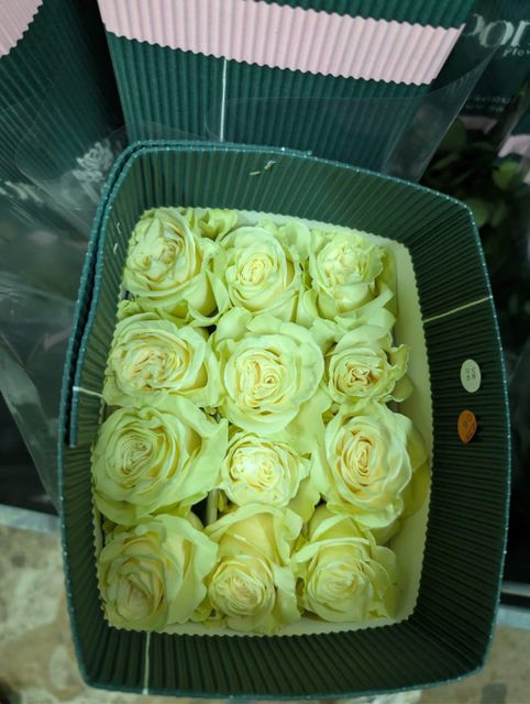 Fresh cut premium colombianroses 40cm-120cm - Image 4