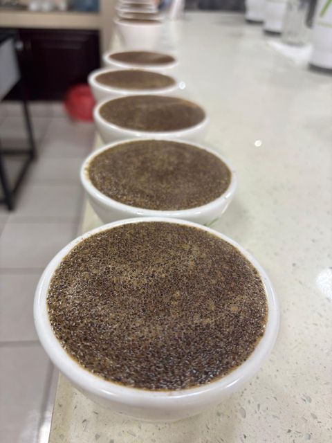 Honduras Specialty coffee Body Medium Acidity Bright Harvest Method Hand Harvested Cultivation Method Shade Grown Processing Method Fully Washed - Image 1