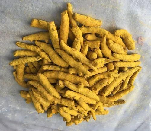 Turmeric Finger - Image 1