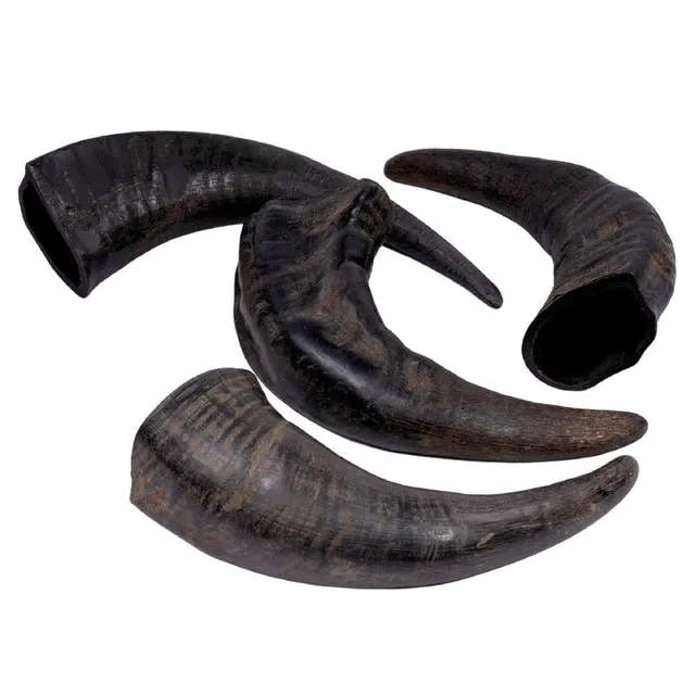 Horn Dog Chew - Image 4
