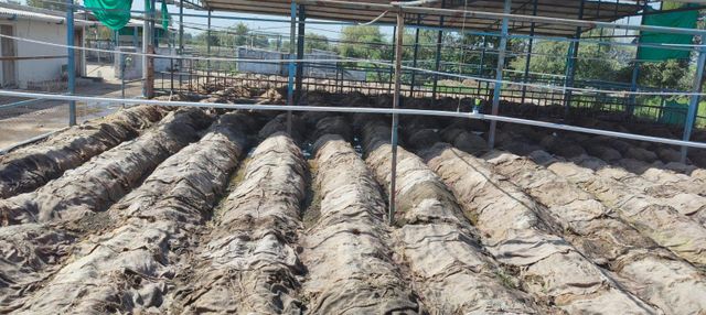 Organic fertilizer - Image 5
