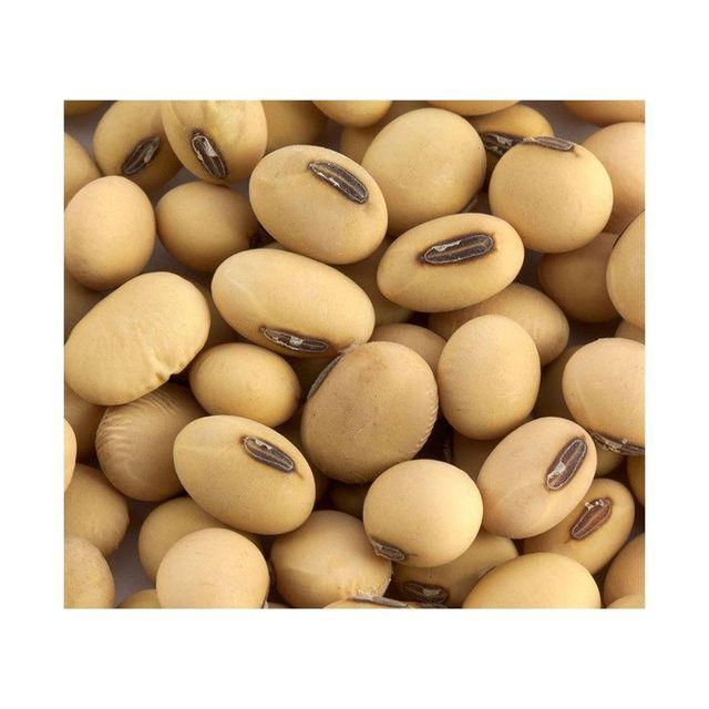 Standard Quality Best Selling Non Gmo Soybean Newest Yellow Soybeans with good Nutrients at Market Manufacturer Price - Image 2