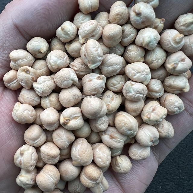 Wholesale Price 25kg 50kg 500g Package 7mm - 9mm Dried Kabuli Garbanzo Beans Chick Pea Chickpeas - Image 4