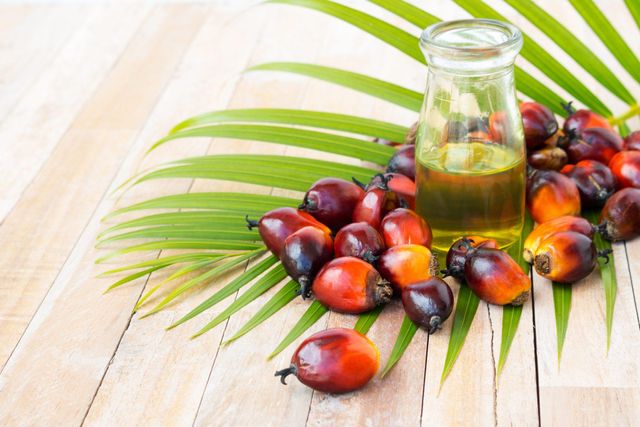 High Quality Refined & Crude Red Palm Oil /Palm Nuts oil/ Refined Palm Vegetable Cooking Oil for Sale - Image 4