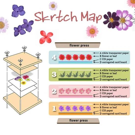 Wholesale Children's Flower Press Natural Crafts Wooden Art Kits Outdoor Learning Toys DIY Flower Press Kit - Image 5