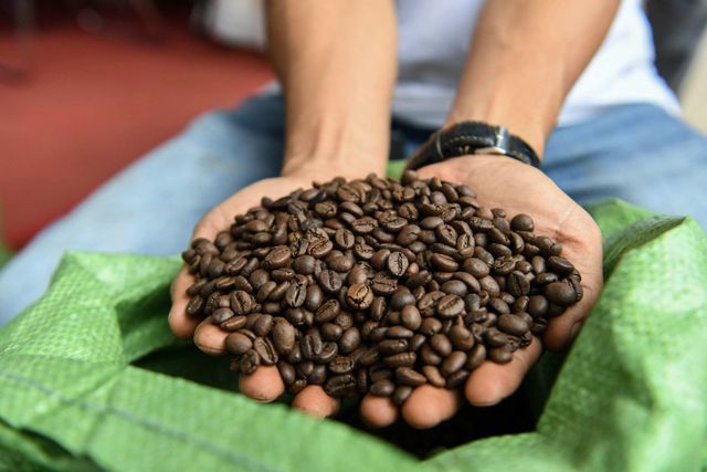 Natural Robusta coffee and Arabica Coffee Beans Best Prices - Image 2