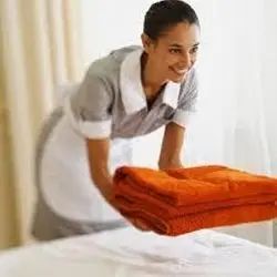 Domestic Housekeeping Service Service Methodology Applied Latest Methodology Service Execution Method Efficient Execution - Image 1