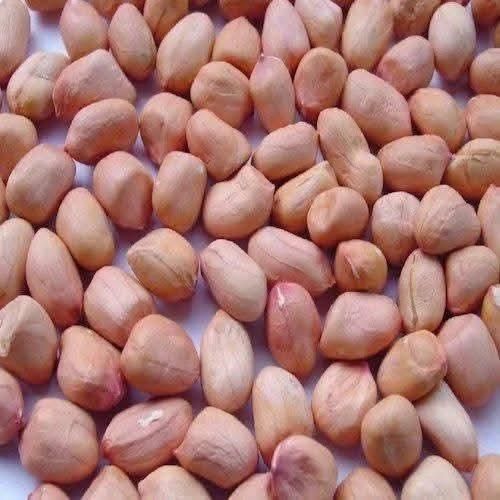 Origin China Leading Exporter of Dried Raw Peanuts Kernel Bulk Dried Groundnuts for Sale - Image 5