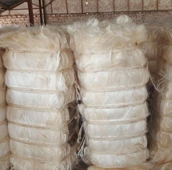 wholesale 100% Sisal Fibre for sale hot discount Natural white sisal fiber material price sisal fiber - Image 4