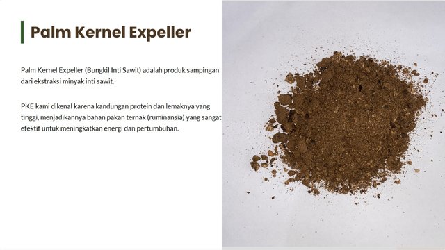 Palm kernel expeller - Image 1
