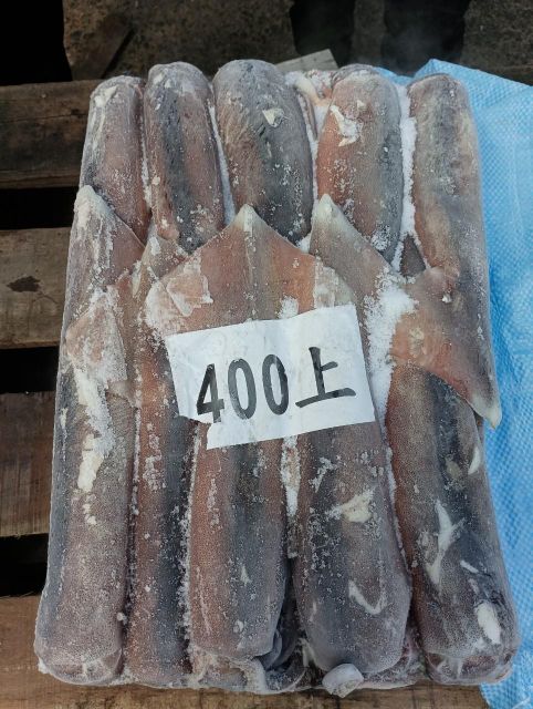 FROZEN ILLEX SQUID - Image 1