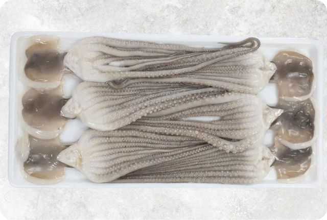 Frozen Squid Supplier From Vietnam - Image 3