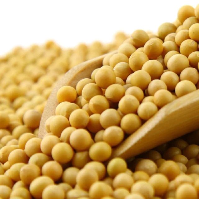 NON GMO Soybean Available for Cheap Price / Premium Quality Non-GMO Yellow SoyaBeans with High Protein/Soybean Meal 48% Protein - Image 2