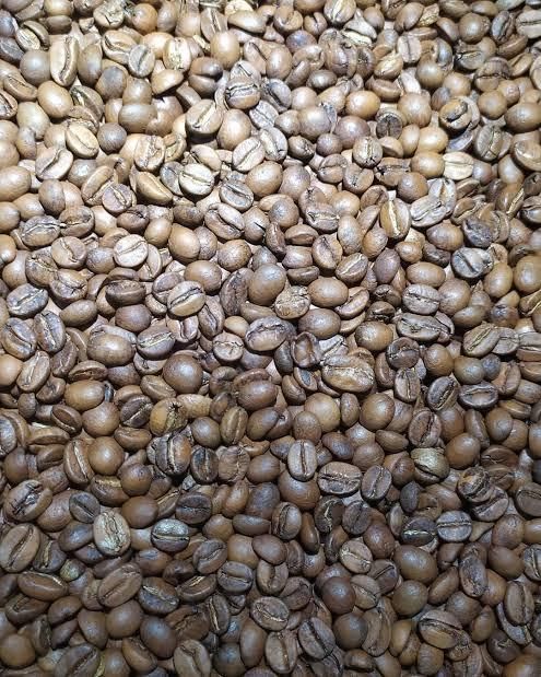 Green Coffee Beans - Image 1
