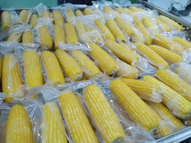 Vacuum-Packed Cooked Sweet Corn on the Cob - Image 2