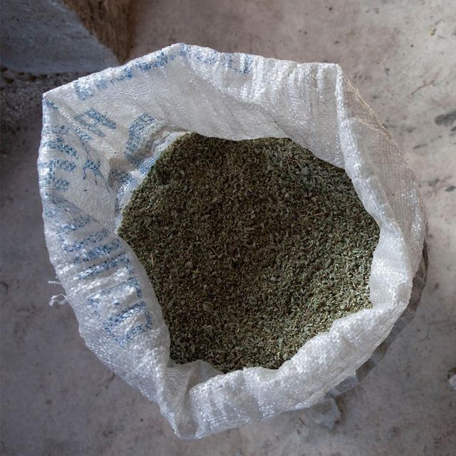 Cottonseed Hulls Clean Agricultural Feed Component For Cattle Sheep And Goat Feeding With Reliable Fiber Content - Image 1