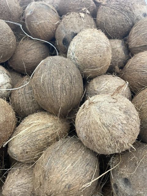 Find similar icon Cheap Price Fresh Mature Semi Husked Coconut From Thailand - Image 4