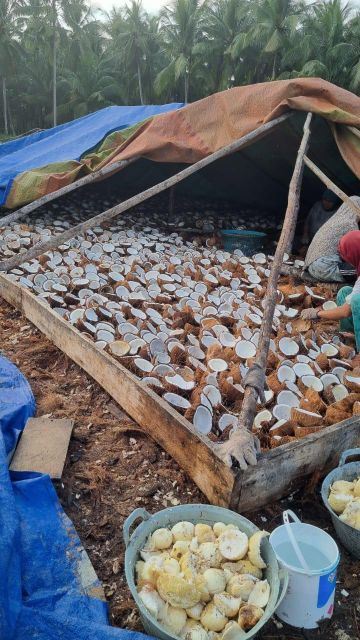 Mix-Grade Copra Grade Premium Content FAT : 60% Packaging PP bags Material Coconut Shell Weight (kg) 25 Kg / Bags Max. Moisture (%) 7% max - Image 3