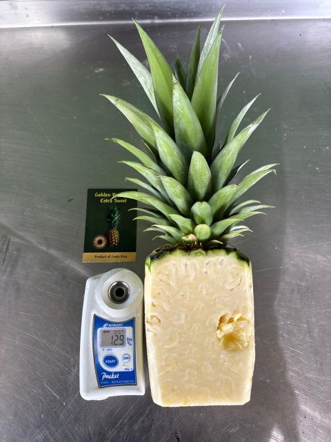 FRESH GREEN EXTRASWEET PREMIUM PINEAPPLE - Image 4