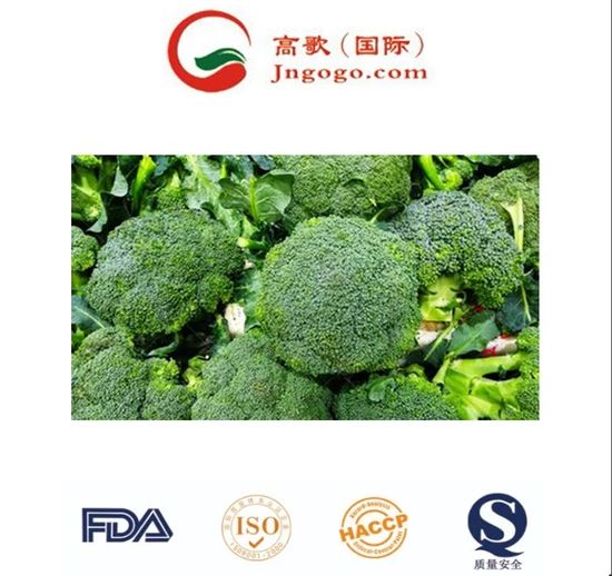 Superior IQF Frozen Broccoli - High Quality Vegetable HS Code 0710809090 Production Capacity 2000 Mts Transport Package - Image 6