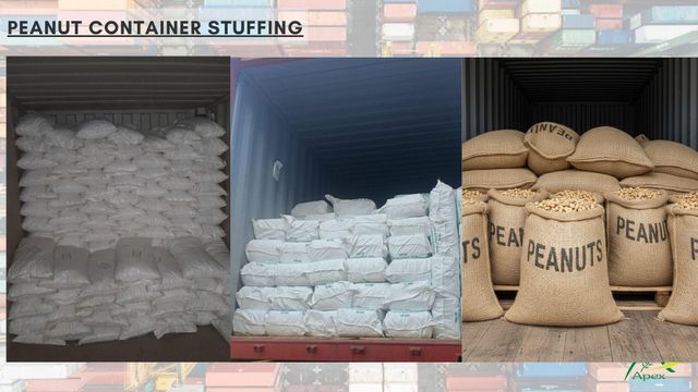 Blanched Peanut Split 4050,Blanched Peanut Split 40 50, Peanut, Peanuts, Arachis hypogaea, Blanched Peanut Split 50/60, Blanched Peanuts Split, Blanched Peanuts Kernels, Blanched Peanut Split Blanched Peanut , Indian Blanched Peanut Split, Indian Blanched Peanut, Peanuts Kernels Split, Peanuts Kernels ,Peanut With Shell, Peanuts, Indian Peanut, Blanched Roasted Peanuts, Blanched Peanut Split Supplier From India. - Image 3