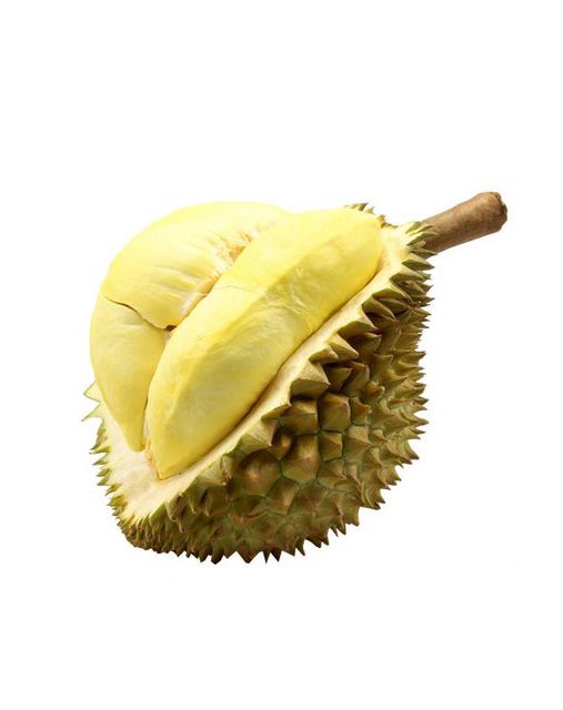 Seed Durian Fruit Export Grade Pack 500g Sweet Fresh Durians from Thailand Fresh Durian Fruit for sale Small - Image 4