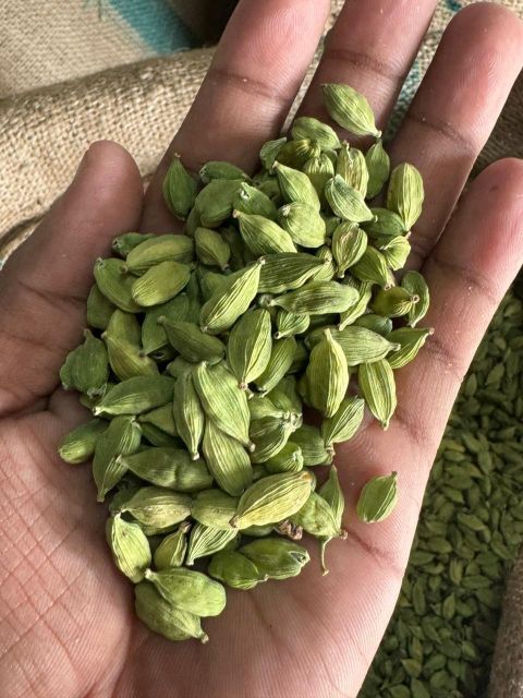 Green Cardamom In Large Size 8 Mm. Green Cardamom In Large Size 8 Mm. - Image 2