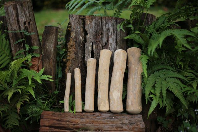 CBS-Coffee Wood Chews For Dogs - Image 1