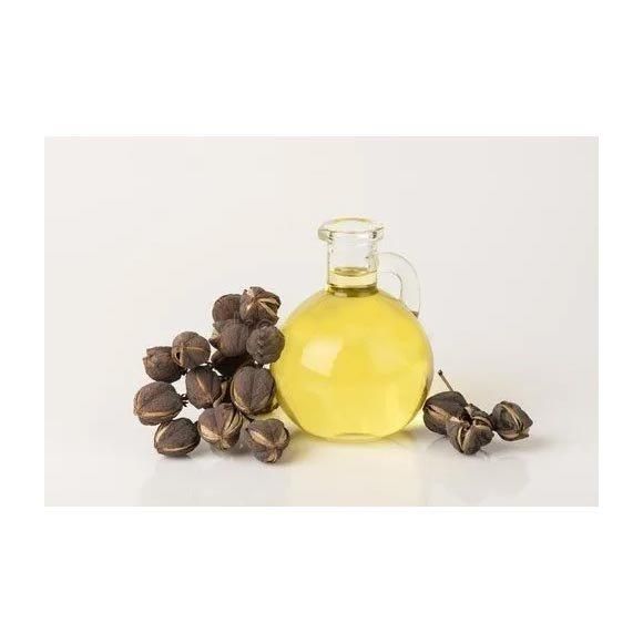 Jatropha oil bulk supply wholesale discount price fast delivery export ready - Image 3