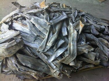 Cast Iron Scrap - Image 3