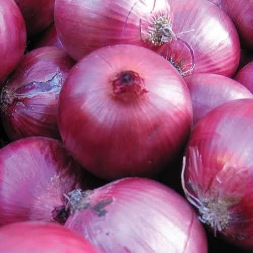 Onion - Image 1