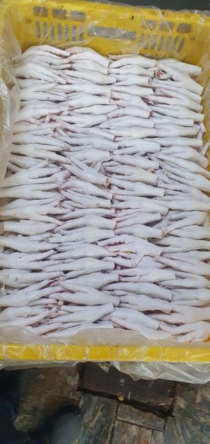 Chicken Paws/Feet - Image 3