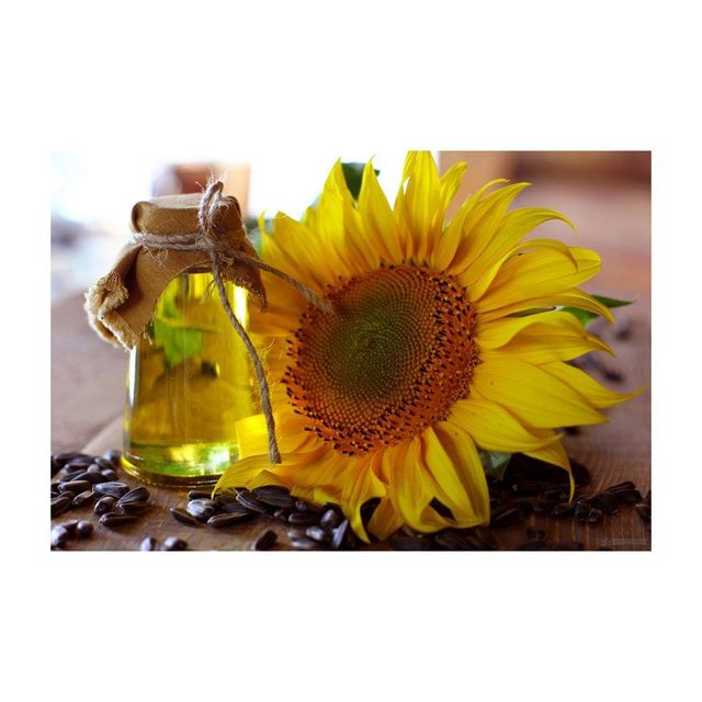 high quality sunflower oil for cooking baking and frying healthy vegetable oil with vitamin E and essential nutrients ideal for preparing snacks meals and traditional dishes - Image 4